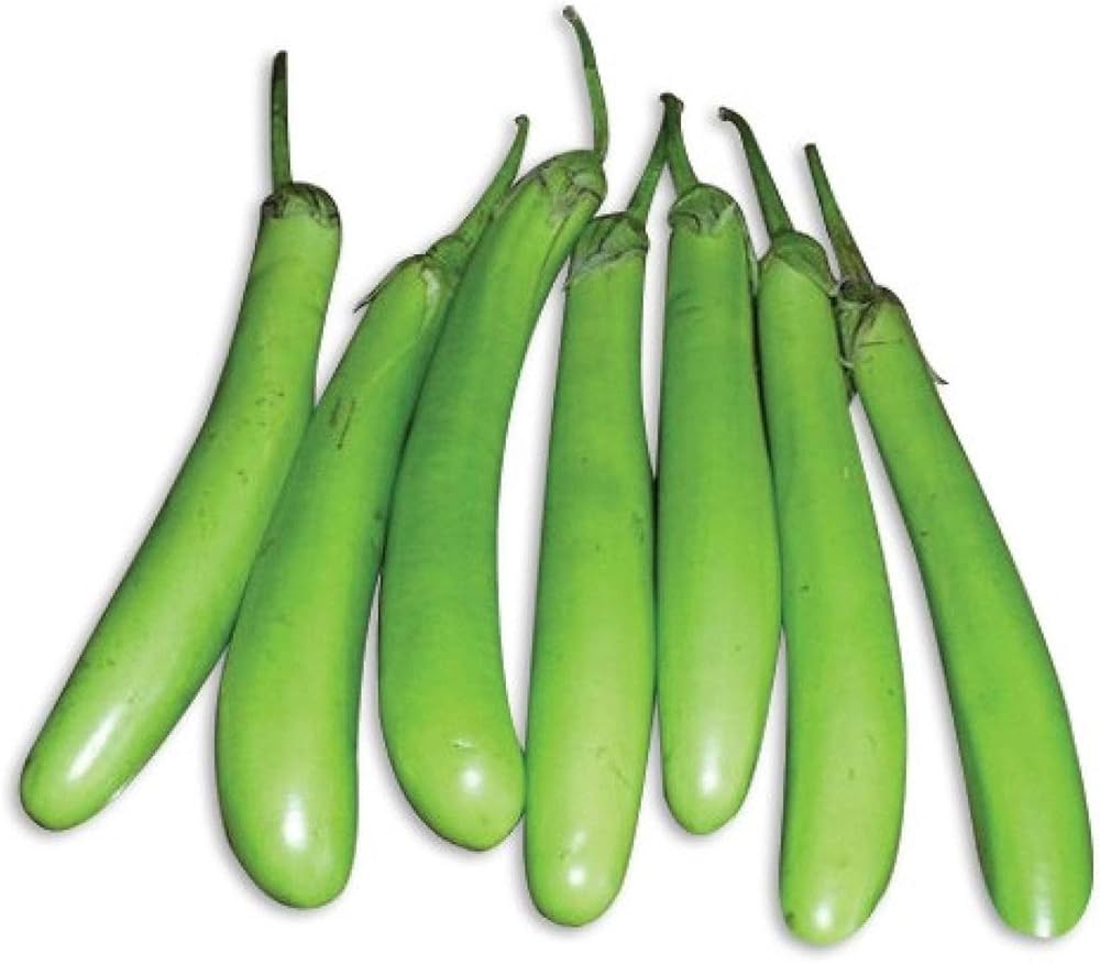 Long Brinjal Green